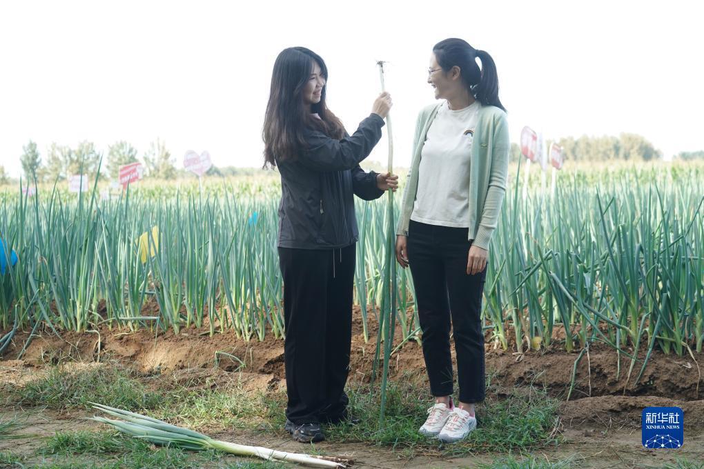 白菜网送彩金存1元38